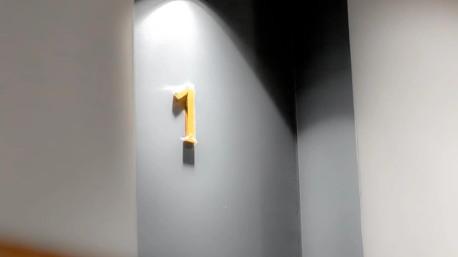 브리짓 파리